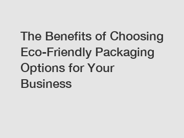 The Benefits of Choosing Eco-Friendly Packaging Options for Your Business