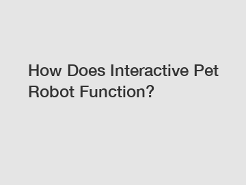 How Does Interactive Pet Robot Function?