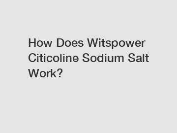How Does Witspower Citicoline Sodium Salt Work?