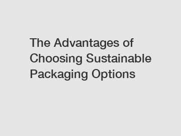 The Advantages of Choosing Sustainable Packaging Options
