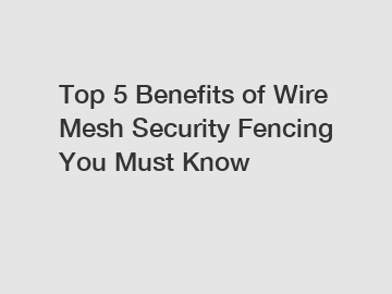 Top 5 Benefits of Wire Mesh Security Fencing You Must Know