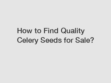 How to Find Quality Celery Seeds for Sale?