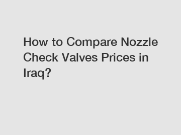 How to Compare Nozzle Check Valves Prices in Iraq?