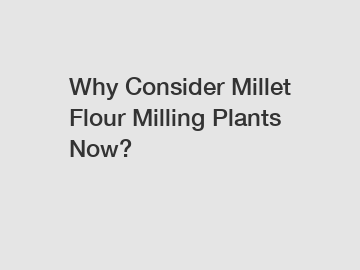 Why Consider Millet Flour Milling Plants Now?