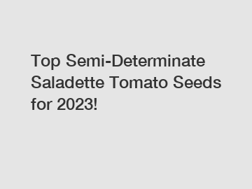 Top Semi-Determinate Saladette Tomato Seeds for 2023!
