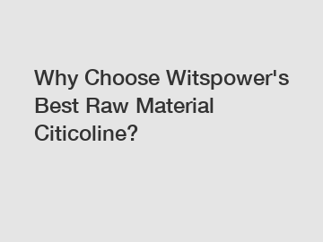 Why Choose Witspower's Best Raw Material Citicoline?