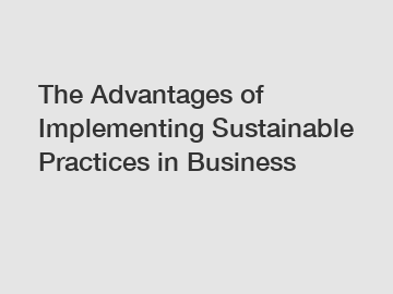 The Advantages of Implementing Sustainable Practices in Business