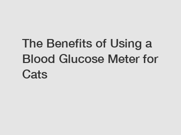 The Benefits of Using a Blood Glucose Meter for Cats