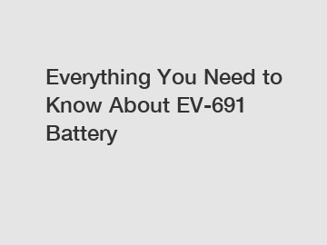 Everything You Need to Know About EV-691 Battery