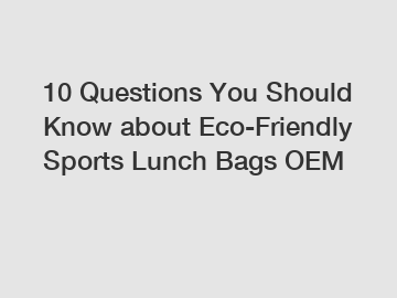 10 Questions You Should Know about Eco-Friendly Sports Lunch Bags OEM