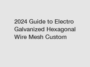 2024 Guide to Electro Galvanized Hexagonal Wire Mesh Custom