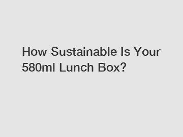 How Sustainable Is Your 580ml Lunch Box?