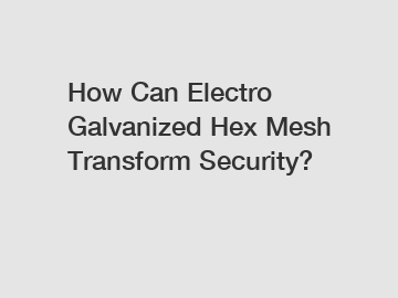 How Can Electro Galvanized Hex Mesh Transform Security?