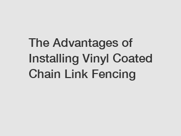 The Advantages of Installing Vinyl Coated Chain Link Fencing The Advantages of Installing Vinyl Coated Chain Link Fencing
