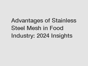Advantages of Stainless Steel Mesh in Food Industry: 2024 Insights