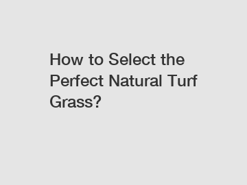 How to Select the Perfect Natural Turf Grass?
