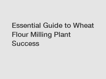 Essential Guide to Wheat Flour Milling Plant Success