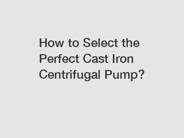 How to Select the Perfect Cast Iron Centrifugal Pump?