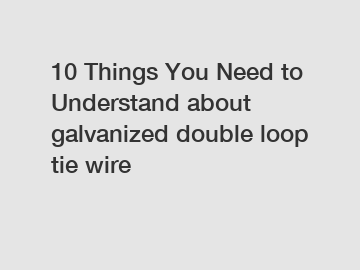 10 Things You Need to Understand about galvanized double loop tie wire