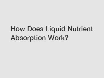 How Does Liquid Nutrient Absorption Work?