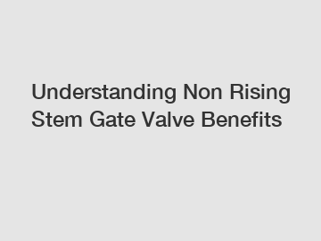 Understanding Non Rising Stem Gate Valve Benefits