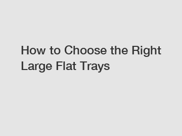 How to Choose the Right Large Flat Trays