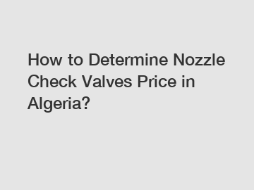 How to Determine Nozzle Check Valves Price in Algeria?