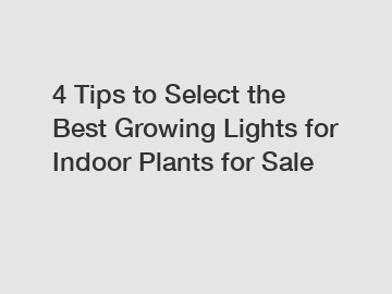 4 Tips to Select the Best Growing Lights for Indoor Plants for Sale