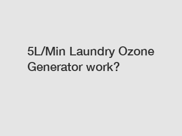 5L/Min Laundry Ozone Generator work?