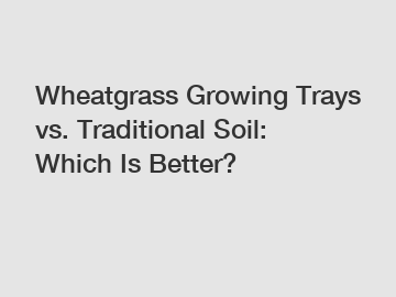 Wheatgrass Growing Trays vs. Traditional Soil: Which Is Better?