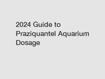 2024 Guide to Praziquantel Aquarium Dosage