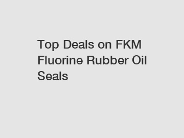 Top Deals on FKM Fluorine Rubber Oil Seals