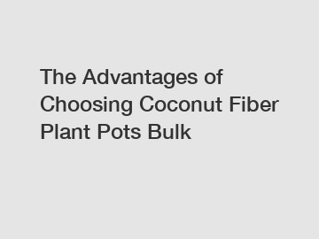 The Advantages of Choosing Coconut Fiber Plant Pots Bulk