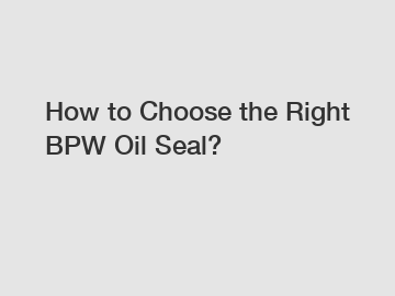 How to Choose the Right BPW Oil Seal?