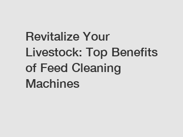 Revitalize Your Livestock: Top Benefits of Feed Cleaning Machines