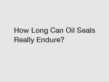 How Long Can Oil Seals Really Endure?