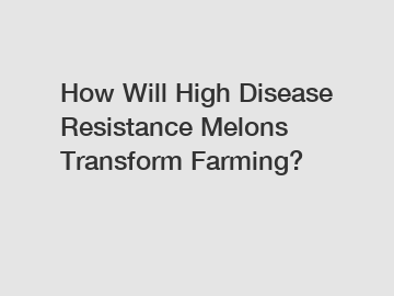 How Will High Disease Resistance Melons Transform Farming?