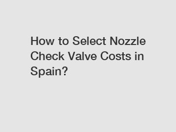 How to Select Nozzle Check Valve Costs in Spain?