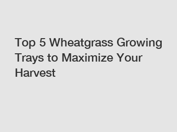 Top 5 Wheatgrass Growing Trays to Maximize Your Harvest