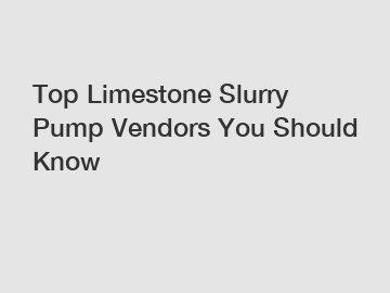 Top Limestone Slurry Pump Vendors You Should Know