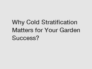 Why Cold Stratification Matters for Your Garden Success?