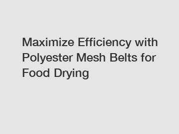 Maximize Efficiency with Polyester Mesh Belts for Food Drying