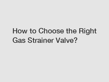 How to Choose the Right Gas Strainer Valve?