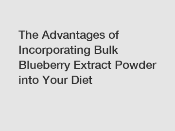 The Advantages of Incorporating Bulk Blueberry Extract Powder into Your Diet The Advantages of Incorporating Bulk Blueberry Extract Powder into Your Diet