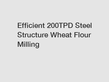 Efficient 200TPD Steel Structure Wheat Flour Milling