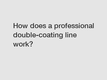 How does a professional double-coating line work?