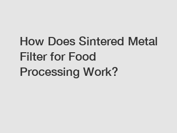 How Does Sintered Metal Filter for Food Processing Work?