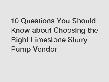 10 Questions You Should Know about Choosing the Right Limestone Slurry Pump Vendor
