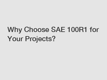 Why Choose SAE 100R1 for Your Projects?