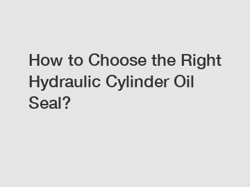 How to Choose the Right Hydraulic Cylinder Oil Seal?